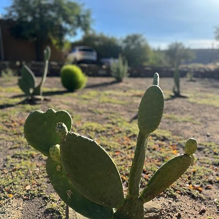 Die Tabakhuis - Karoo Sutherland Exteriör bild