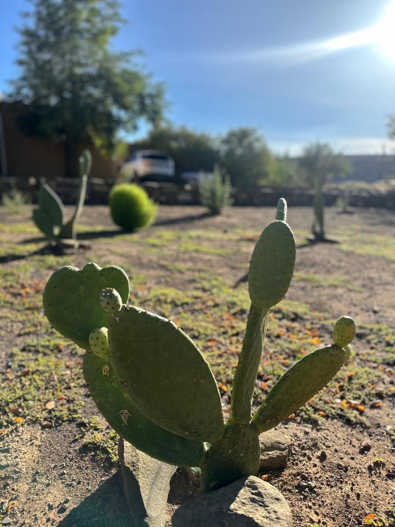 Die Tabakhuis - Karoo Sutherland Exteriör bild
